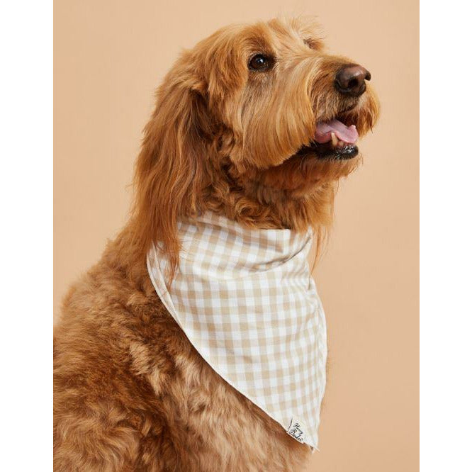 Farmhouse Check Bandana