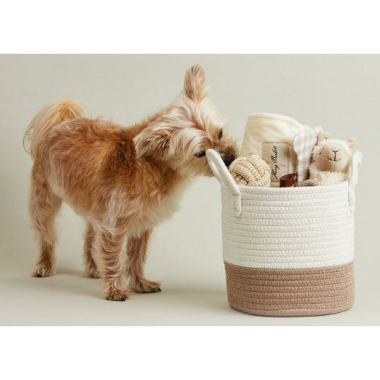 Welcome Home Pet Bundle