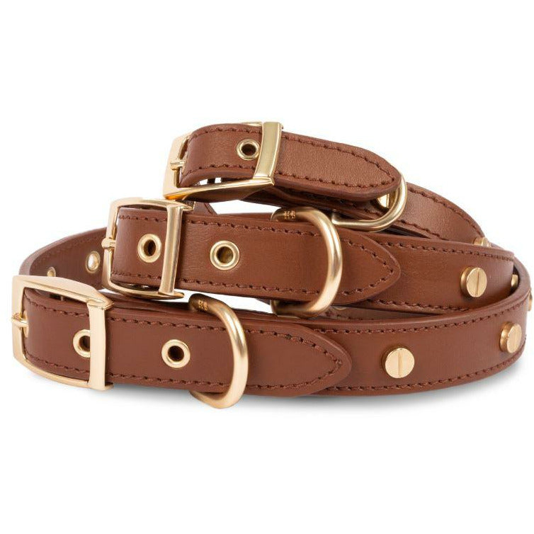 Statement Stud Collar