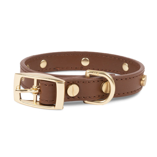 Statement Stud Collar