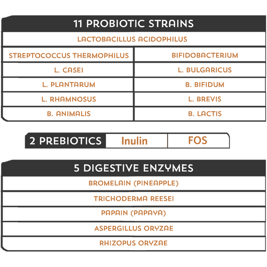 Probiotics Good Guts For Medium Mutts Coconut Peanut Butter Flavor